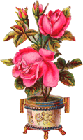 Beautiful Flower Vase Png - Pink Beautiful Flowers Vase, Transparent Png