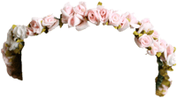 Cut Flowers,pink,hair Orchid,floral Design - Flower Crown Tumblr Png, Transparent Png