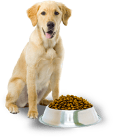 Dog Food Png - Dog With Dog Food, Transparent Png