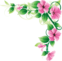 Flower Border Clipart Free Clipart Images - Flower Corner Border Png, Transparent Png