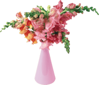 Flower,cut Flower,sweet - Flower Vase Png Transparent, Png Download