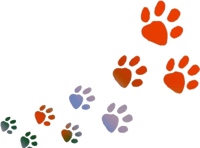 Footprints Png Transparent Images - Dog Paw Png Transparent, Png Download