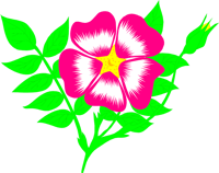 Free Illustrations Download Clip - Flower Animation Png, Transparent Png