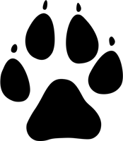 Paw Print - Dog Paw Print Png, Transparent Png