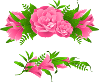 Png Flower Border - Pink Flowers Border Clip Art, Transparent Png