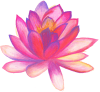 Poster Hand Drawn - Flower Png For Poster, Transparent Png