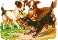 Puppy Dog Animal Digital Image Clipart Illustration - Ancient Dog Breeds, HD Png Download