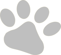 Transparent Dog Paw Print Png - White Dog Paw Transparent Background, Png Download