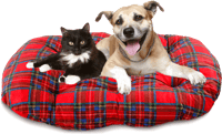 Transparent Dog Sitting Png - Dog And Cat Heartworm, Png Download