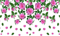 Transparent Floral Pattern Png - Rose Flower Images Png, Png Download