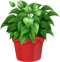 Transparent Flower Pot Png - Flower In Pot Png, Png Download