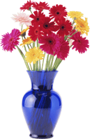 Transparent Vase Of Flowers Png - Flower Vase Png Free, Png Download