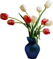 #tulips #tulip #vase #bouquet #flower #flowers #floral - Flower Vase Png Format, Transparent Png